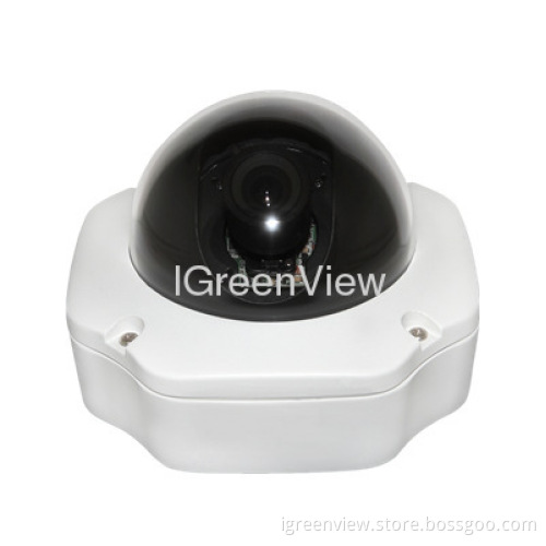 Outdoor Or Indoor Colour Vandal Resistant Dome Cctv Cameras